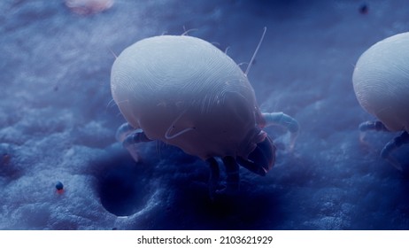 1,199 Mites 3d Images, Stock Photos & Vectors | Shutterstock