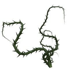 A 3d Rendered Illustration Of A Fantasy Plant With Thorns Isolate On A White Background. 