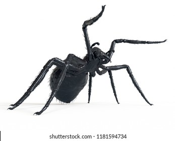 3d rendered illustration of a giant spider