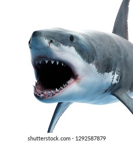 3d Rendered Illustration Great White Shark Stock Illustration ...