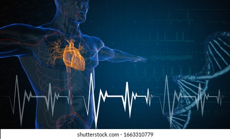 3d rendered illustration of heart attack and heart disease 3D illustration