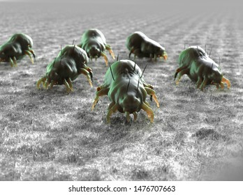 3d rendered illustration house dust mite