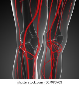 3d Rendered Illustration Human Arterial System Stock Illustration ...