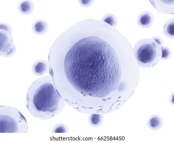 3d rendered illustration of human cells isolated on white background 