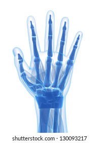 20,519 3d hand anatomy Images, Stock Photos & Vectors | Shutterstock