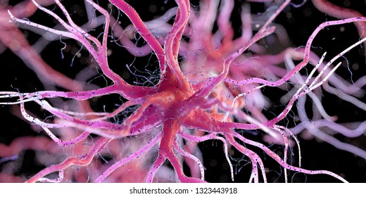 3d Rendered Illustration Of A Human Nerve Cell