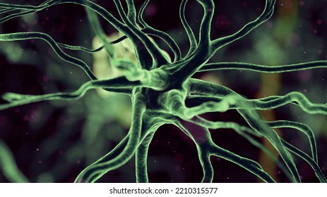 3d Rendered Illustration Of A Human Nerve Cell