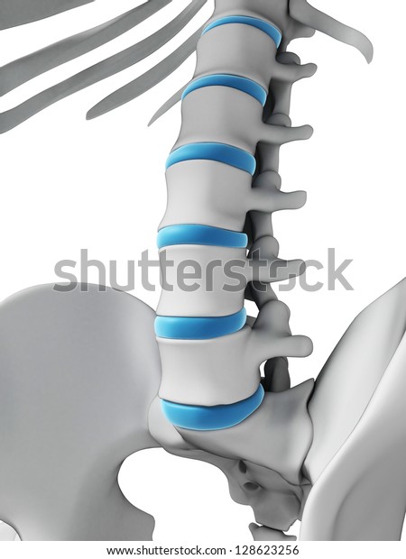 3d Rendered Illustration Human Spine Stock Illustration 128623256 ...