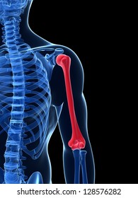 3d Rendered Illustration Humerus Bone Stock Illustration 128576282 ...