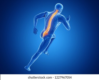 3d Rendered Illustration Of A Joggers Spine