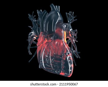 3d Rendered Illustration Of The Left Atrium