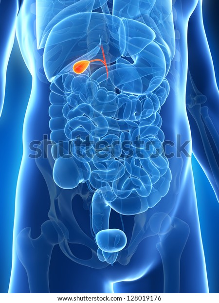 3d Rendered Illustration Male Gallbladder Stock Illustration 128019176