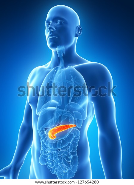 3d Rendered Illustration Male Pancreas Stock Illustration 127654280