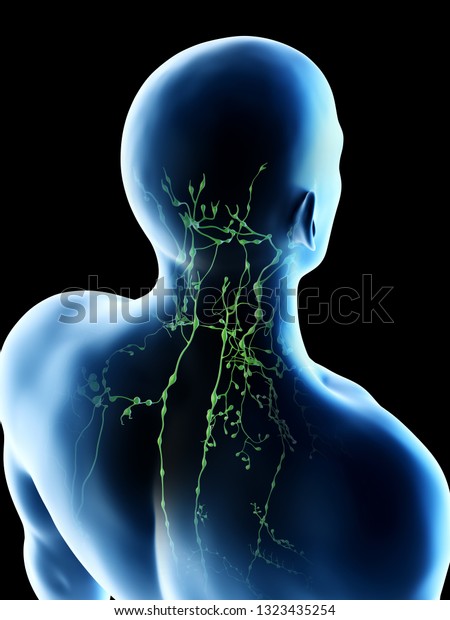 3d Rendered Illustration Mans Lymph Nodes Stock Illustration 1323435254