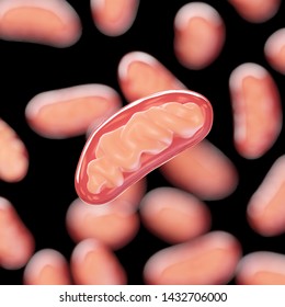 3d Rendered Illustration Of Mitochondria