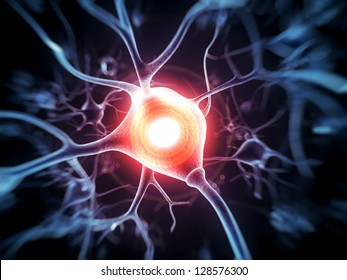 3d rendered illustration - nerve cell