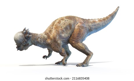 Pachycephalosaurus Images Stock Photos Vectors Shutterstock