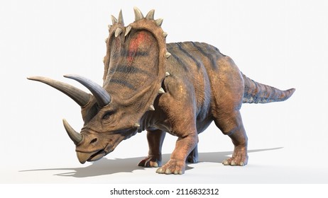 3d Rendered Illustration Pentaceratops Stock Illustration 2116832312 ...