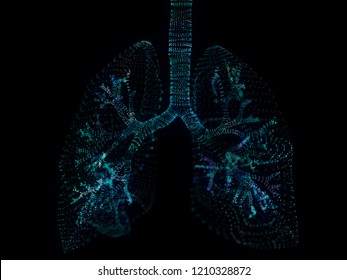 3d Rendered Illustration Of A Plexus Lung