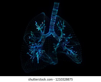 3d Rendered Illustration Of A Plexus Lung