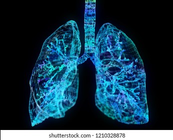 3d Rendered Illustration Of A Plexus Lung