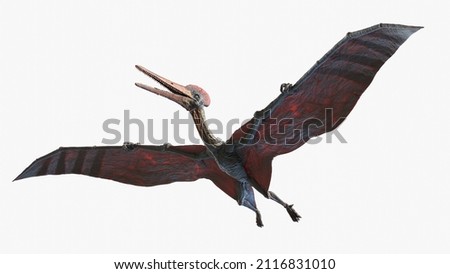 3d rendered illustration of a Pterodactyl [[stock_photo]] © 