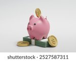 3D rendered illustration of a savings concept with a piggy bank icon sitting on a stack of bills with a dollar coin inserted. It represents the accumulation of savings. and financial stability