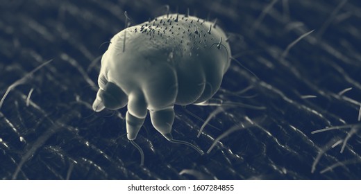 3d Rendered Illustration Of A Scabies Mite On Human Skin, Sem Style