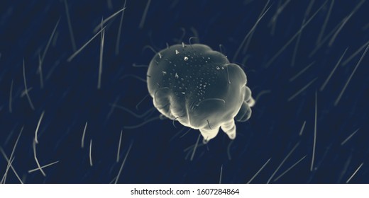 3d Rendered Illustration Of A Scabies Mite On Human Skin, Sem Style