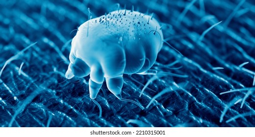 3d Rendered Illustration Of A Scabies Mite On Human Skin, Sem Style