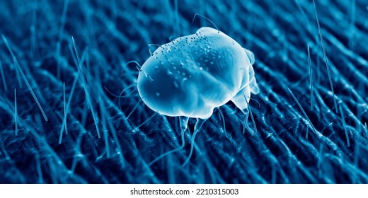 3d Rendered Illustration Of A Scabies Mite On Human Skin, Sem Style