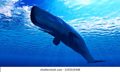 3d Rendered Illustration Of A Sperm Whale