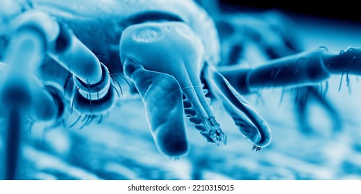 3d Rendered Illustration Of A Tick On Human Skin, Sem Style