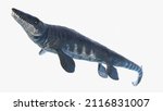 3d rendered illustration of Tylosaurus