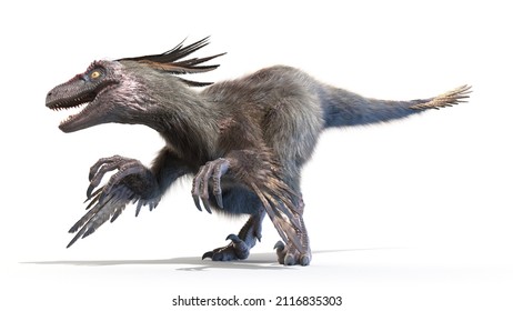 3d rendered illustration of a Velociraptor