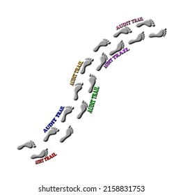 A 3d Rendered Illustration Of A Wavy Human Footprints Icons Path With Colourful Text Indicating An Audit Trail Isolated On White Background.