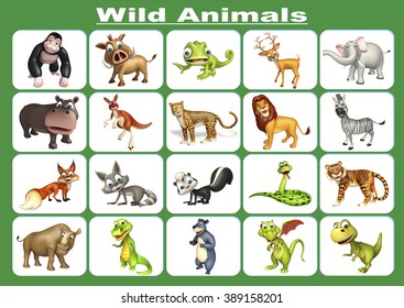 Pet Animals Pictures Chart