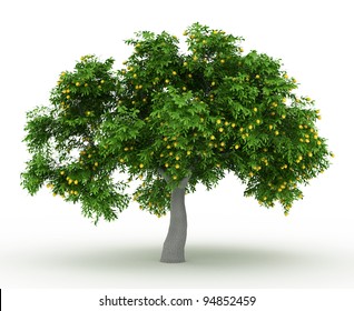 3d Rendered Lemon Tree Full Of Lemons Isolated Over White