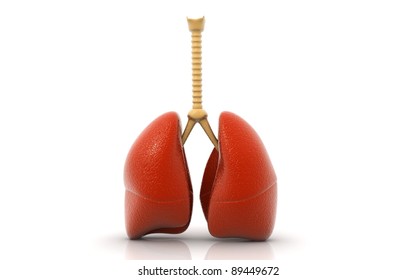 3d Rendered Lungs Isolated On White Background