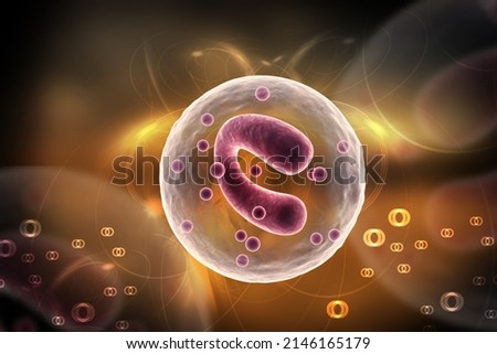 3d rendered mast cell isolated on color background