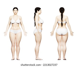 3d Rendered Medical Illustration Of A Curvy Female Body