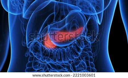 3d rendered medical illustration of an inflamed pancreas Stockfoto © 
