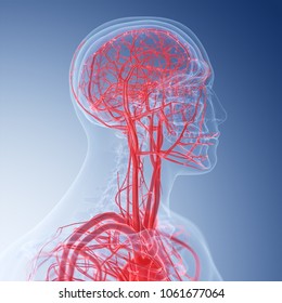 Head Blood Images, Stock Photos & Vectors | Shutterstock