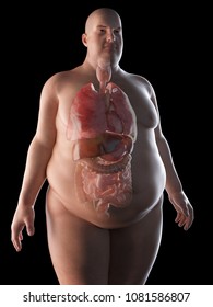 3d rendered, medically accurate illustration of an obese man´s organs
