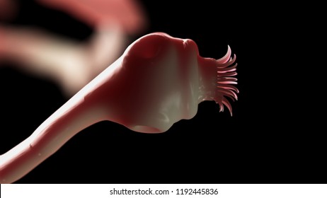 3d Rendered Medically Accurate Illustration Of A Tape Worm