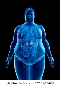 3d rendered medically accurate illustration of an obese mans adrenal glands