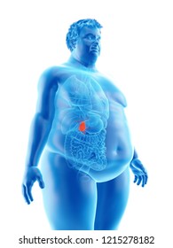 3d rendered medically accurate illustration of an obese mans gallbladder