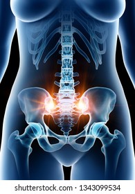 Pubic Bone Images, Stock Photos & Vectors | Shutterstock