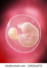 3d rendered medically accurate illustration of a fetus - week 6