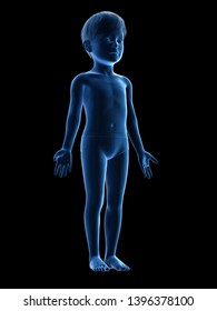 3d rendered medically accurate illustration of a childs body